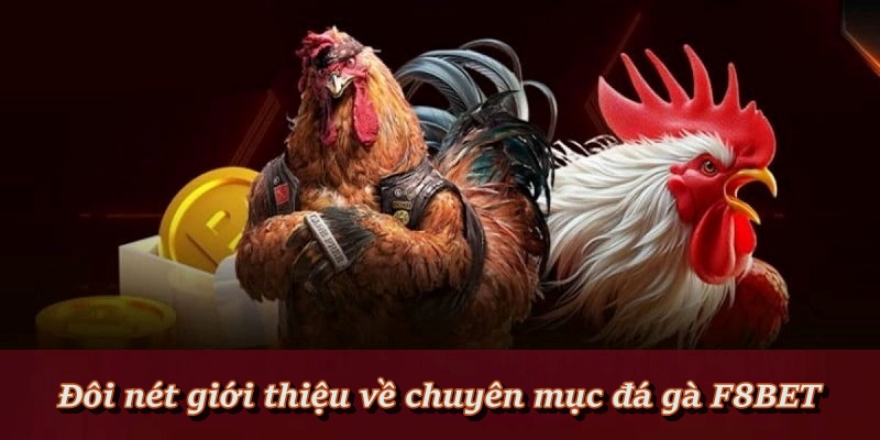 Tìm hiểu đôi nét về sảnh đá gà F8BET hấp dẫn